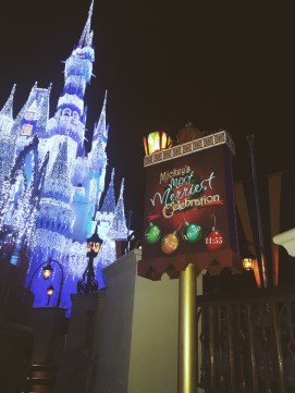 Processed with VSCO with m3 preset